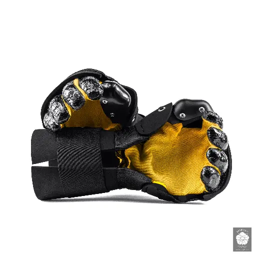 Guantes Sparring Gloves Special
